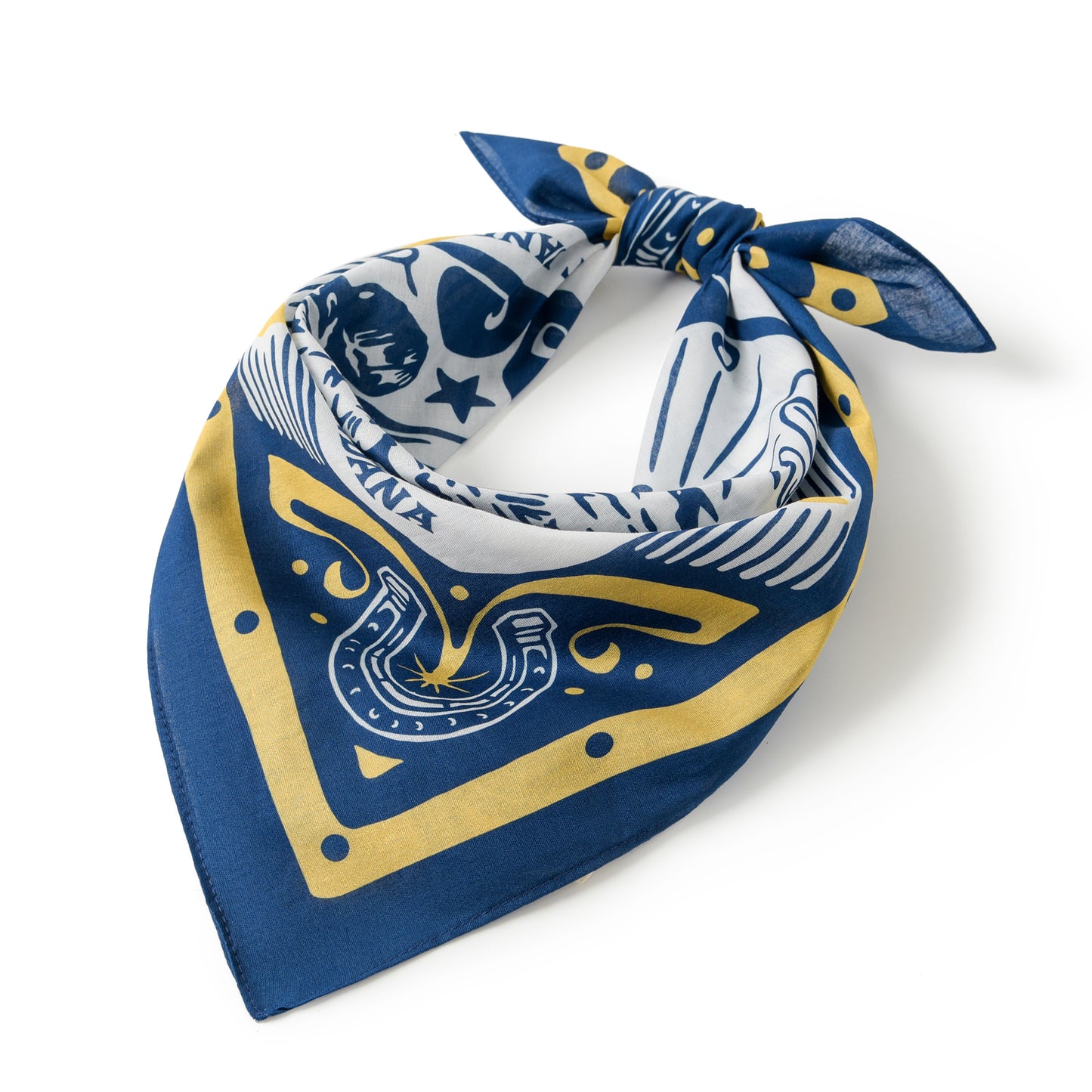 Bold And Brave Bandana
