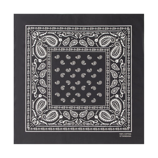 Paisley Bandana