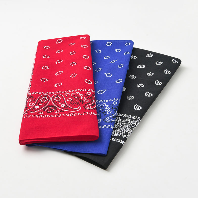 PAISLEY BANDANA