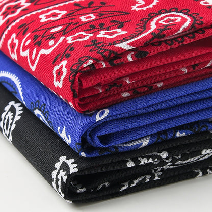 PAISLEY BANDANA