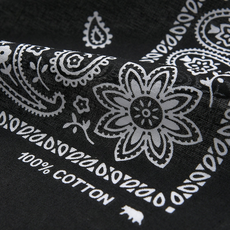 PAISLEY BANDANA