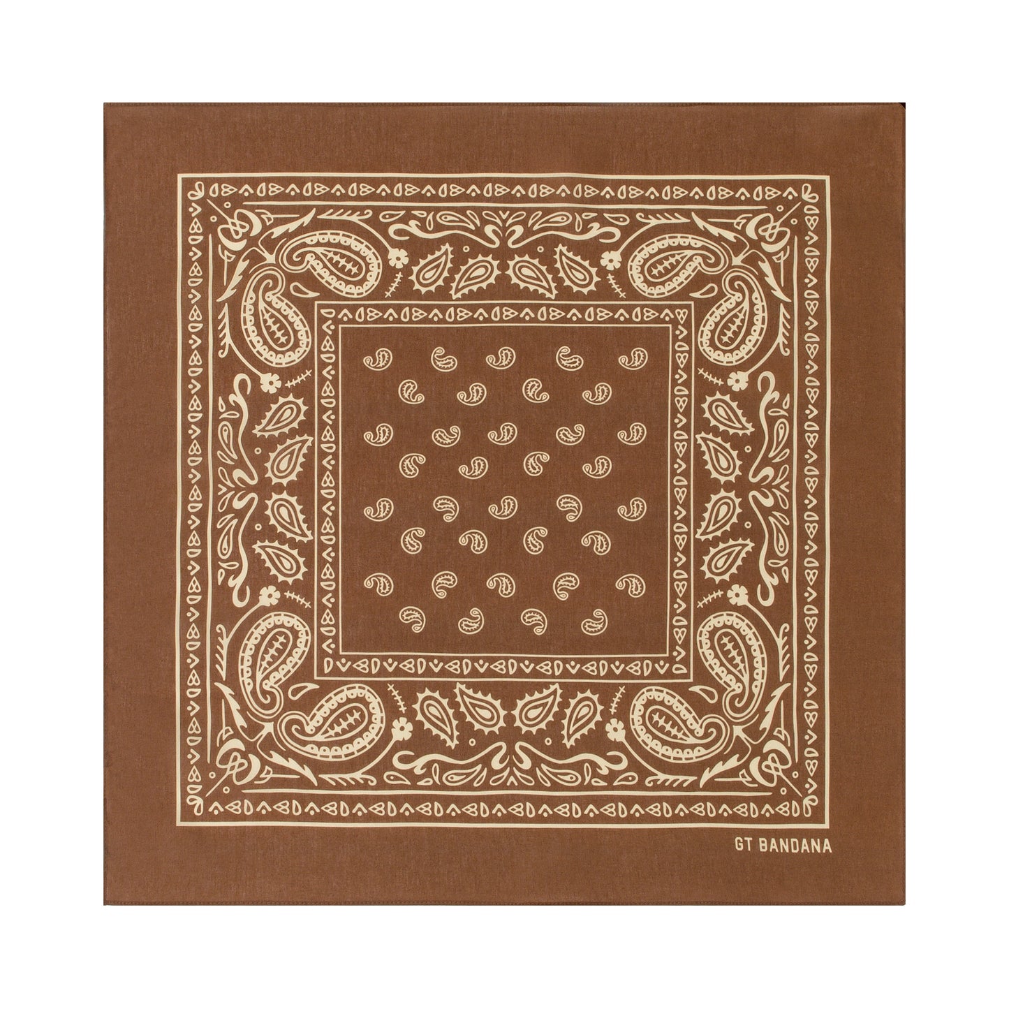 Paisley Bandana