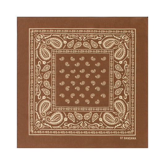 Paisley Bandana