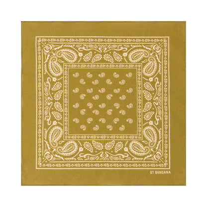 Paisley Bandana