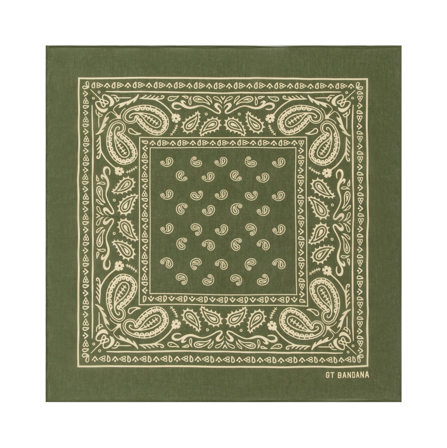 Paisley Bandana