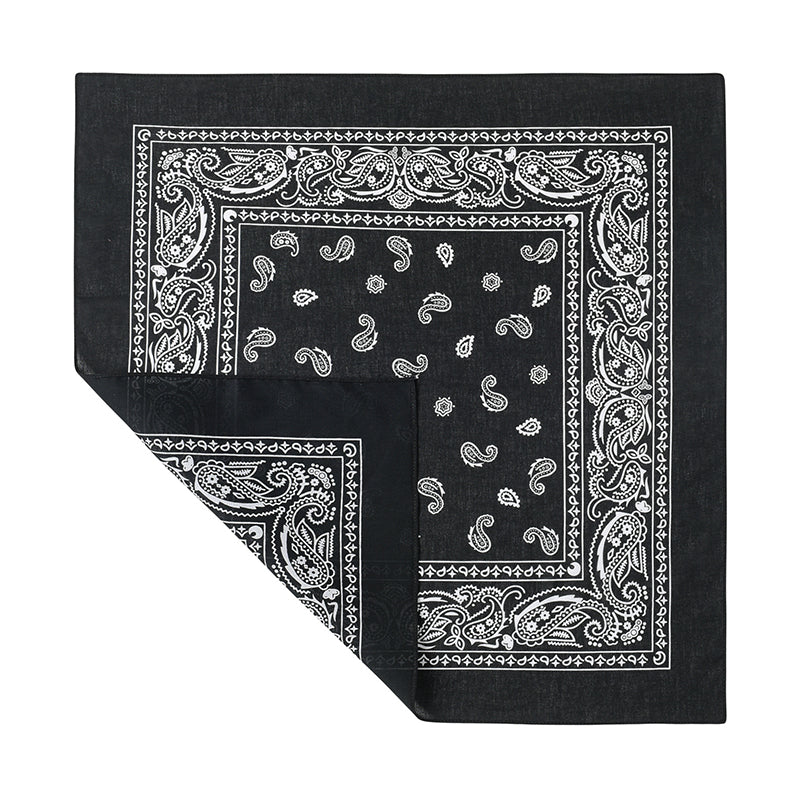 PAISLEY BANDANA