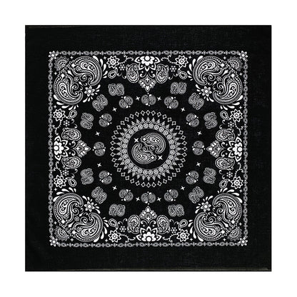 PAISLEY BANDANA