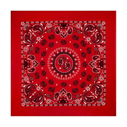 PAISLEY BANDANA