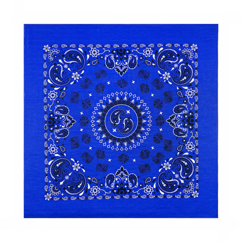 PAISLEY BANDANA