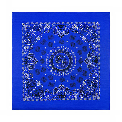 PAISLEY BANDANA