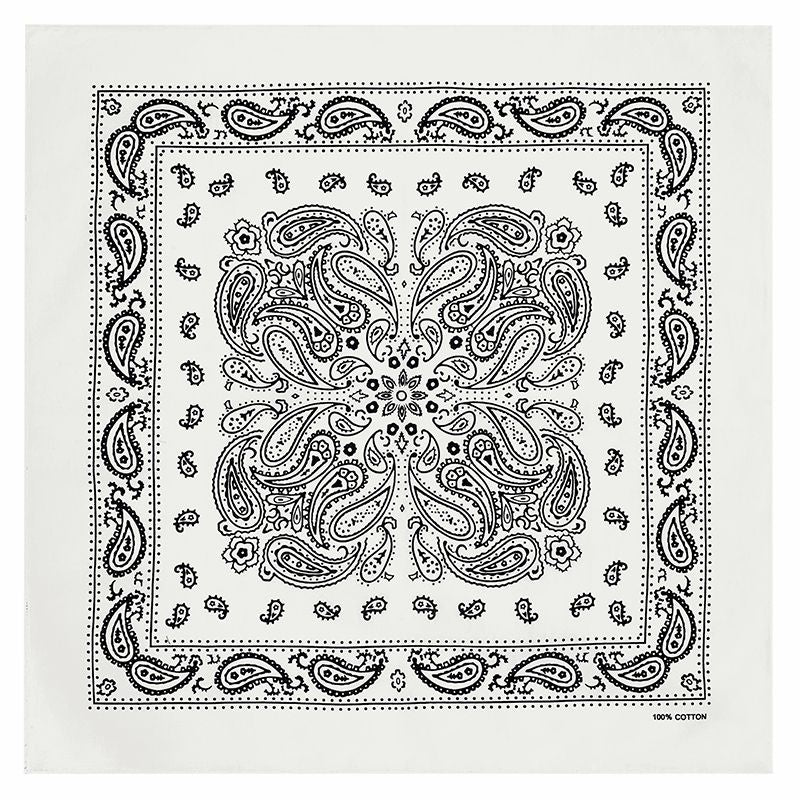 PAISLEY BANDANA