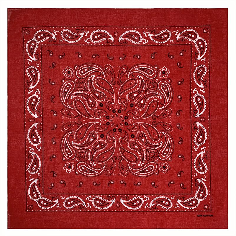 PAISLEY BANDANA