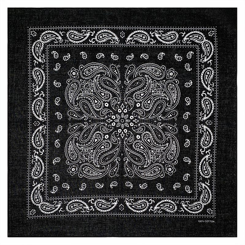 PAISLEY BANDANA